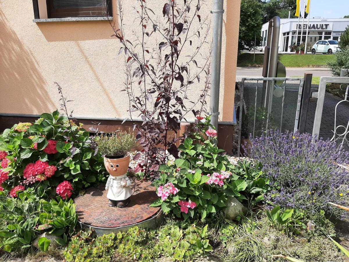 Ferienwohnung Am Park Pegau المظهر الخارجي الصورة