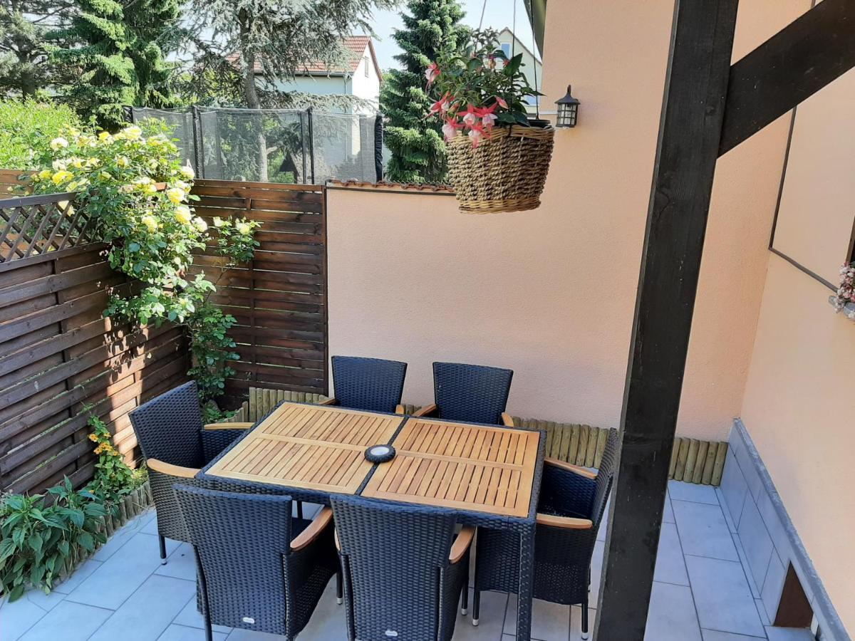 Ferienwohnung Am Park Pegau المظهر الخارجي الصورة