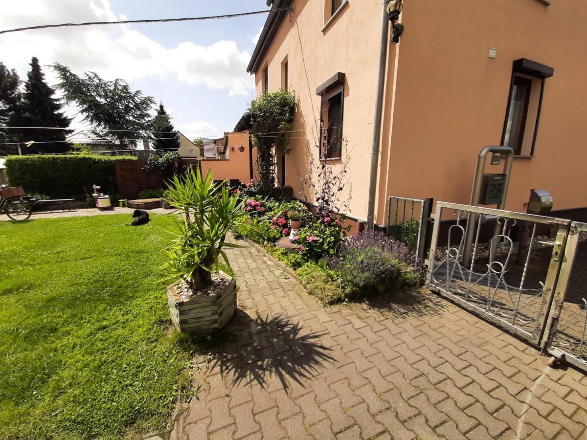 Ferienwohnung Am Park Pegau المظهر الخارجي الصورة