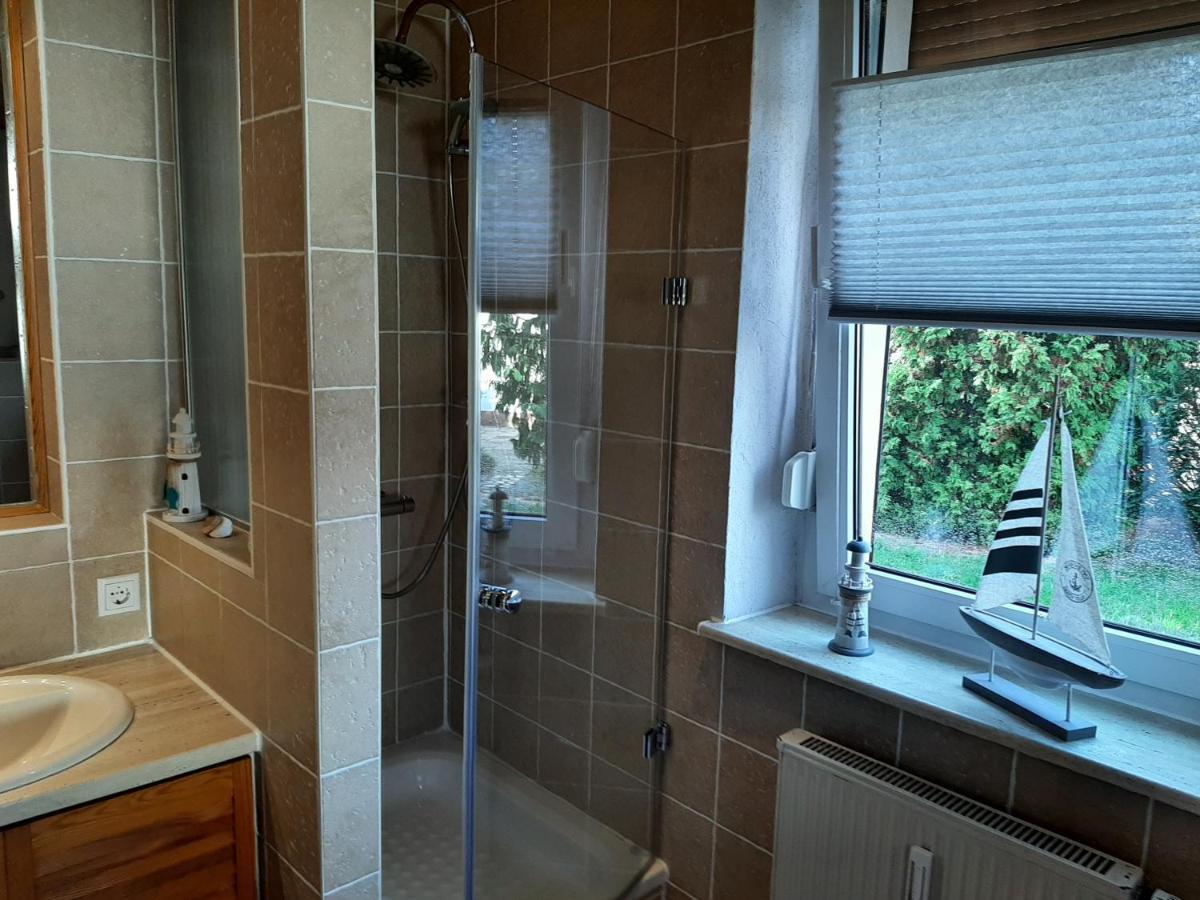 Ferienwohnung Am Park Pegau المظهر الخارجي الصورة