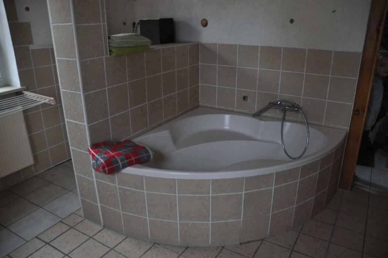 Ferienwohnung Am Park Pegau المظهر الخارجي الصورة